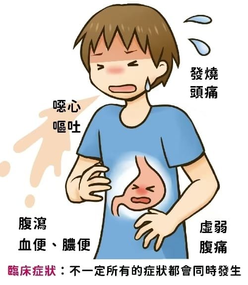 腸胃炎的順勢療法處理